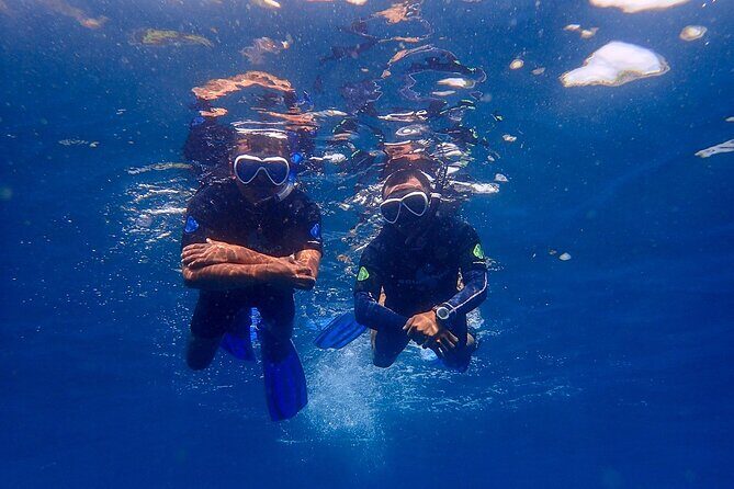 Full-Day Scuba Diving Experience of USAT Liberty in Tulamben - Lunch at the Right Time: Fried Rice or Noodles and a Drink