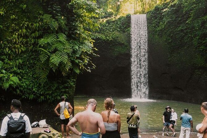 Full Day Ubud Custom Private Tour with Hotel Pickup - Sacred Monkey Forest Sanctuary: Walking Temple Grounds in the Trees