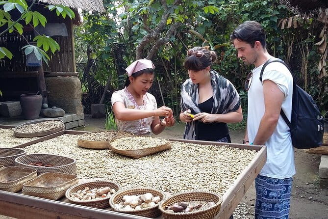 Full-Day Ubud Village including Mt Batur Tirta Empul and Sightseeing Tour - Sari Amerta Batik: Wax-Resist Motifs Up Close