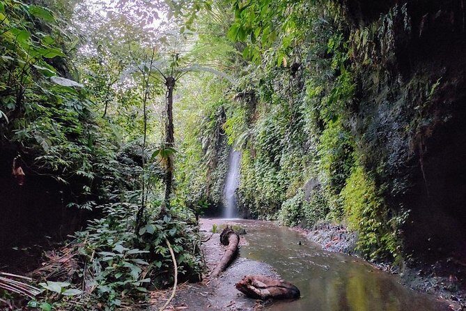 Get wet on Bali's most stunning waterfalls - How the 10-Hour Private Day Flows from Ubud
