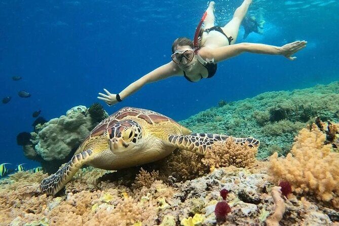 Gili Air: Snorkeling 3 Gili Islands with GoPro Camera - Where this Gili Air snorkeling tour fits best