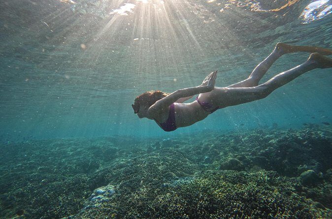 Gili Air: Snorkeling 3 Gili Islands with GoPro Camera - Coral gardens and fish-heavy reefs: your in-between stops