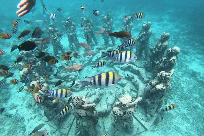 Gili island Snorkeling Half Day Trip departure from Gili Trawangan - Key points to know before you go