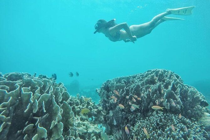 Gili island Snorkeling Half Day Trip departure from Gili Trawangan - Boat ride realities: shared groups, packing, and time slips