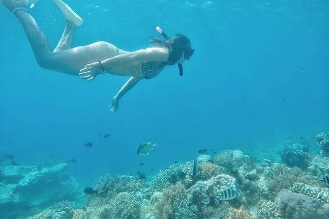 Gili island Snorkeling Half Day Trip departure from Gili Trawangan - What’s included (and what’s on you)
