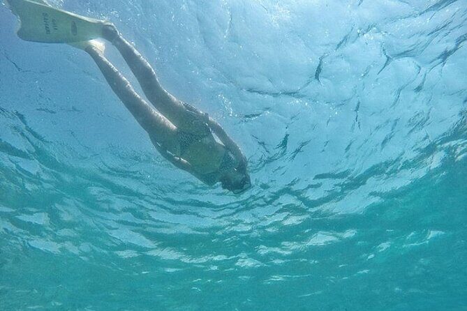 Gili island Snorkeling Half Day Trip departure from Gili Trawangan - Meeting point, arrival time, and the stuff you should bring