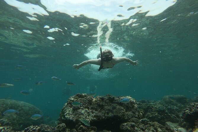 Gili island Snorkeling Half Day Trip departure from Gili Trawangan - Swim level and safety expectations (life jackets included)