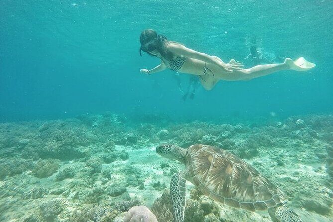 Gili island Snorkeling Half Day Trip departure from Gili Trawangan - Gili Air Island reef time and your lunch break