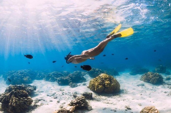 Gili Trawangan : Private Snorkeling with 3 spots or 4 spots - Underwater Statues Circle: Art You Can Swim Around