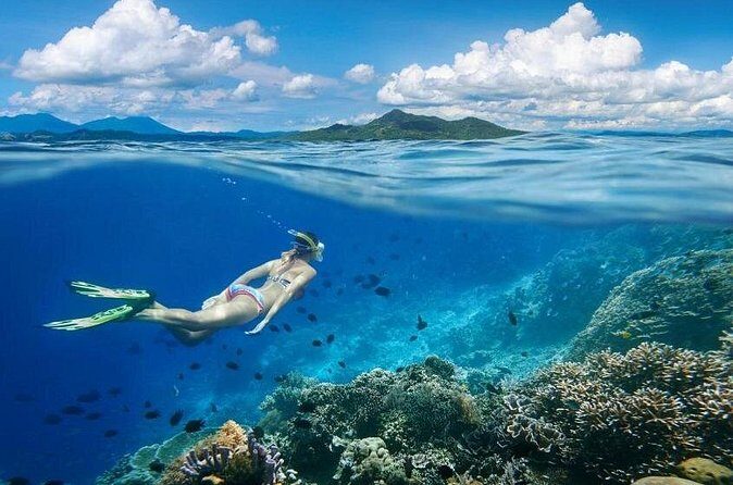 Gili Trawangan : Private Snorkeling with 3 spots or 4 spots - Sea Turtle Sanctuary: Watching Without Chasing