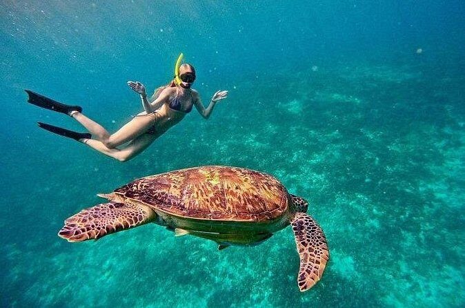 Gili Trawangan : Private Snorkeling with 3 spots or 4 spots - The Gili Air or Gili Meno Break: What to Do With 1 Quiet Hour