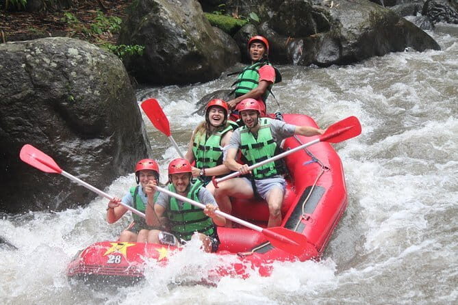 Half day forest & volcano tour with electric or petrol dirtbikes - Who This Tour Suits Best (and Who Might Feel Out of Place)