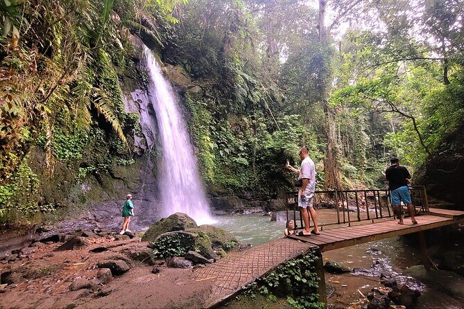 Half Day Tour Ubud Rice Terrace with Activities and Waterfall - A smart 10:00 am plan for Ubud nature lovers