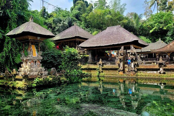 Half Day Tour Ubud Rice Terrace with Activities and Waterfall - Optional add-ons: plantation, rice-view lunch, or a temple stop