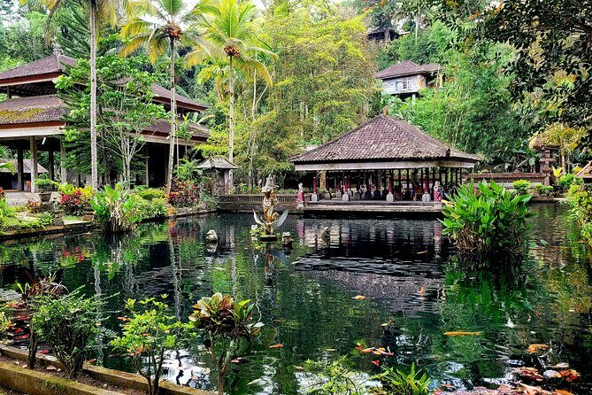 Half Day Tour Ubud Rice Terrace with Activities and Waterfall - The price reality check: what you’re paying for (and what’s extra)