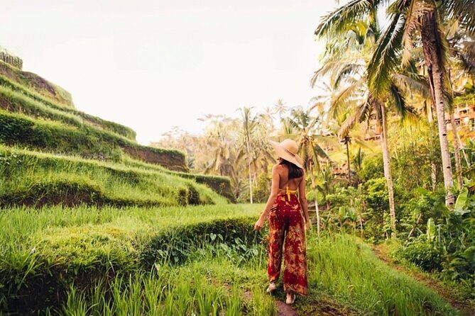 Half Day Tour Ubud Rice Terrace with Activities and Waterfall - Stop 1: Abian Desa Rice Terrace and the choices inside the paddies