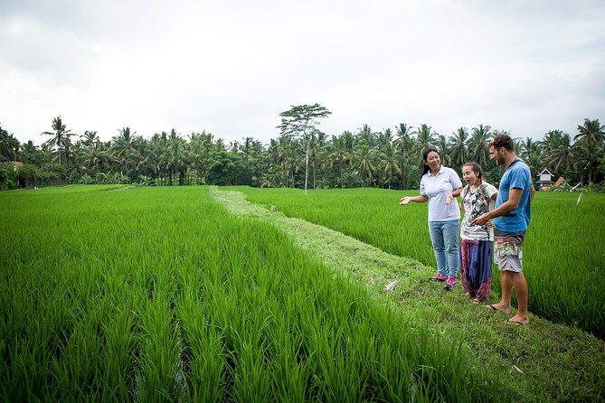 Half-Day Ubud Heritage Food Tour - Key things you should know