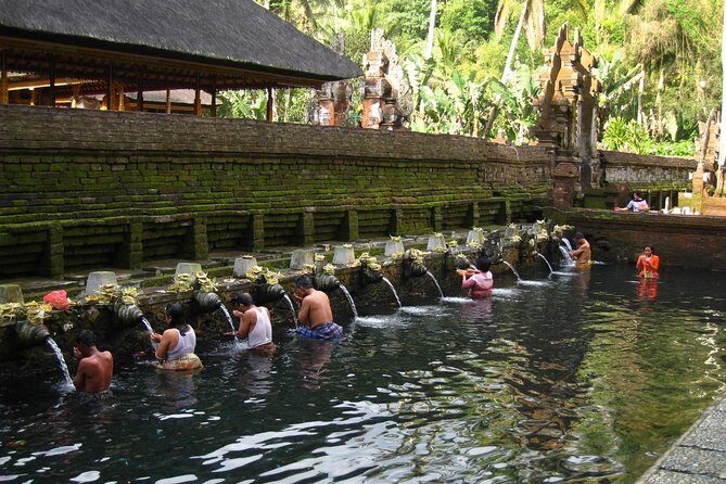 Half Day Ubud Tour - Private Guided Tour - Half-day pacing: how you fit Ubud highlights into 5–7 hours