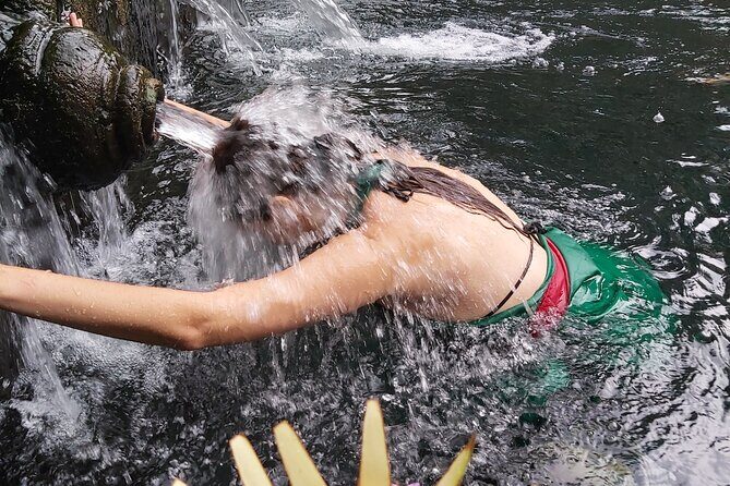 Half Day Ubud Tour - Private Guided Tour - Stop 1: Tegenungan Waterfall and what you should expect in 45 minutes