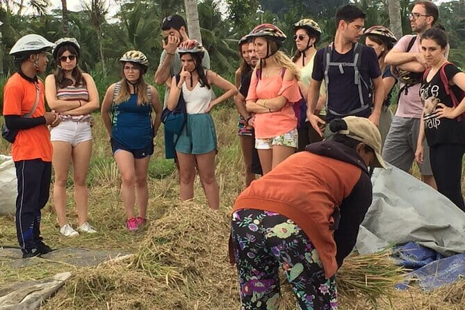 HALO BIKE Downhill Bali Countryside Cycling Tour - Downhill, Rice Terraces, and Real Village Life near Ubud