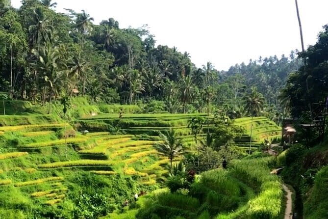 Heaven Gate, Tirtagangga and Tukad Cepung Waterfall - All Inclusive - Who should book this tour (and who might skip it)