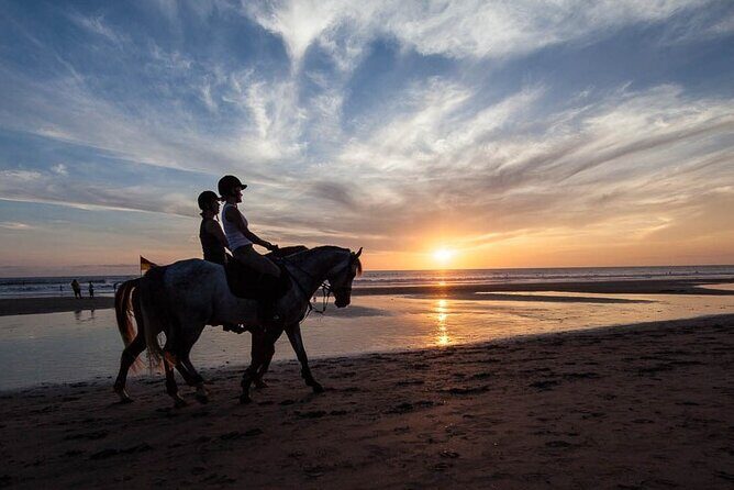 Horse Riding on the Black Sand Beach and Free Hotel Transfers - Key things you’ll notice on this ride