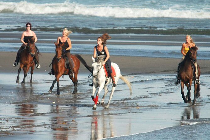 Horse Riding on the Black Sand Beach and Free Hotel Transfers - Black Sand Horse Riding at Saba Beach: what makes it special