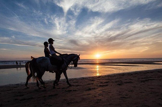 Horse Riding on the Black Sand Beach and Free Hotel Transfers - Rules you should know before you book (they matter)