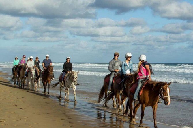 Horse Riding on the Black Sand Beach and Free Hotel Transfers - On the saddle: what actually happens during the ride