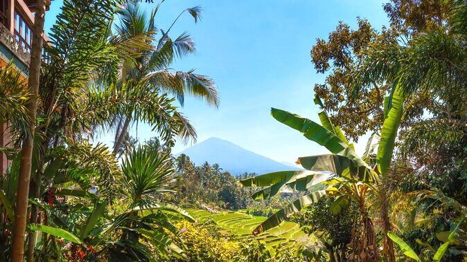 Jatiluwih Batukaru Mountain Nature's Best Tour - Key points I’d highlight before you go