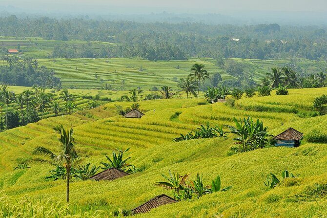 Jatiluwih Batukaru Mountain Nature's Best Tour - Stop 3: Pura Luhur Batukaru Temple in the Thick Tropical Forest