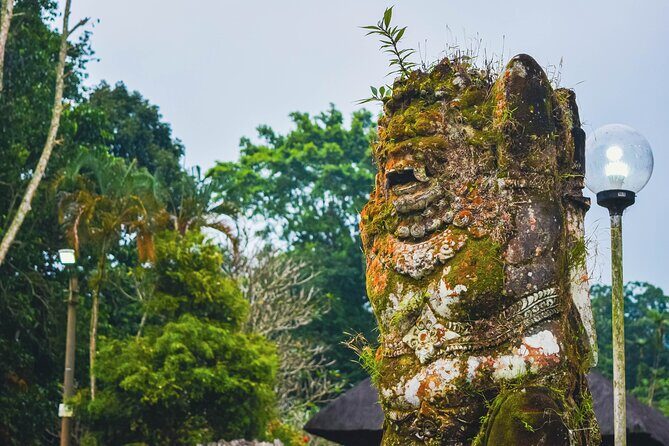 Jatiluwih Batukaru Mountain Nature's Best Tour - The Drive, the Pace, and Why Small Groups Matter Here
