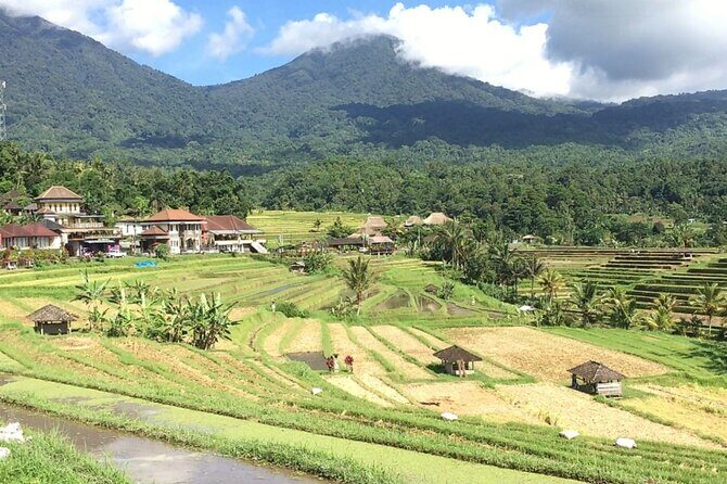 Jatiluwih Batukaru Mountain Nature's Best Tour - The Restaurant Rest Stop: Convenient Break, Pay-As-You-Go