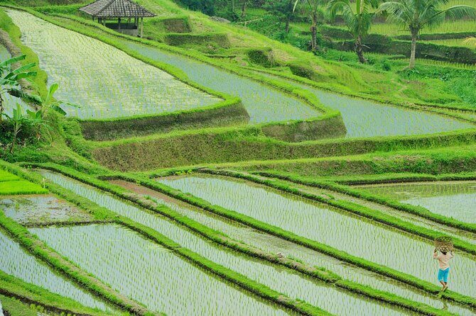 Jatiluwih Batukaru Mountain Nature's Best Tour - The “Not Just Temples” Reality: Crafts, Coffee, and Sales Stops