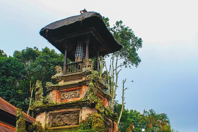 Jatiluwih Batukaru Mountain Nature's Best Tour - Stop 2: Jatiluwih Rice Terraces and the Water-Driven View