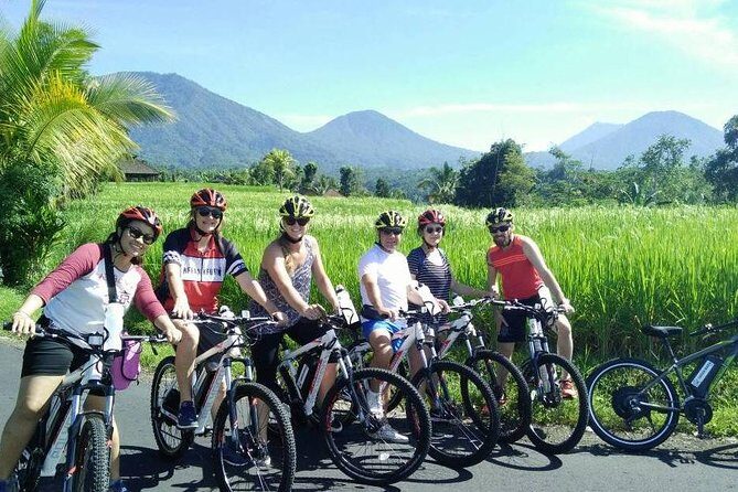 Jatiluwih in detail (1 h. e-bike tour in the rice terraces) - The E-Bike Experience: Easy Effort, Real Views