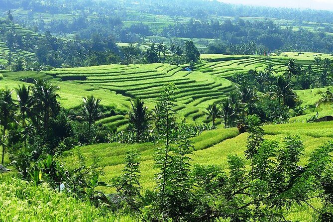 Jatiluwih in detail (1 h. e-bike tour in the rice terraces) - Safety Setup That Makes a Difference
