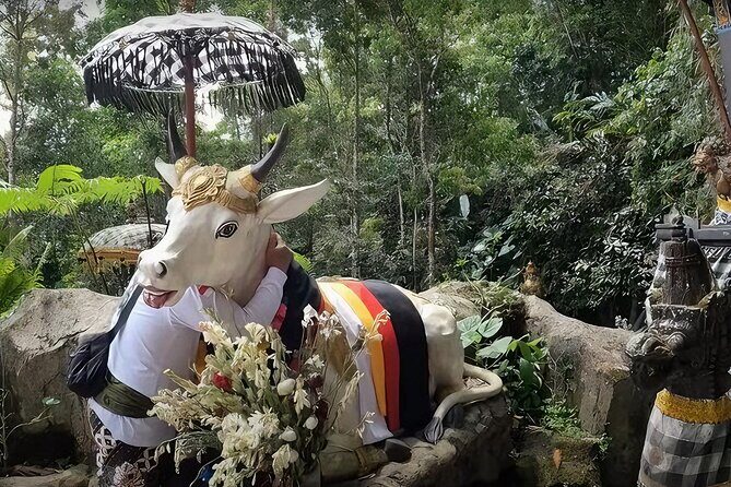 Jatiluwih Spiritual Journey of Melukat with Rice Terrace View - Ubud Monkey Forest: A Temple-Nature Finish With Real Energy