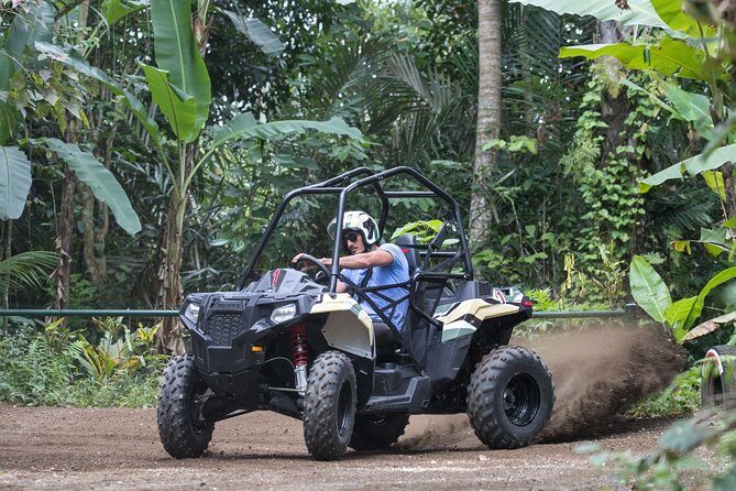 Jungle Buggy Adventure and Ubud Tour - Morning pickup and the drive into Ubud’s green zone