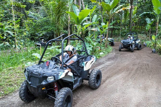 Jungle Buggy Adventure and Ubud Tour - Driver or passenger: age rules you need before you arrive