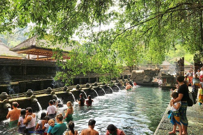 Jungle Swing - Volcano - Water Temple - Monkey Forest and Waterfall Tour - A practical Ubud combo: water, worship, monkeys, and a volcano view