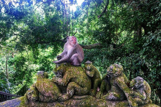 Jungle Swing - Volcano - Water Temple - Monkey Forest and Waterfall Tour - Stop 5: Sacred Monkey Forest Sanctuary and 700+ long-tailed macaques