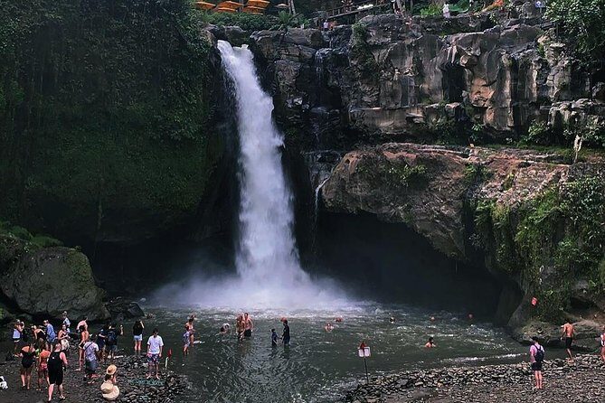 Jungle Swing - Volcano - Water Temple - Monkey Forest and Waterfall Tour - Getting around without stress: private vehicle and pickup zones