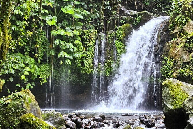 Jungle Trekking at Mt. Batukaru, scenic Waterfall & village life - Key things I’d watch for before you go