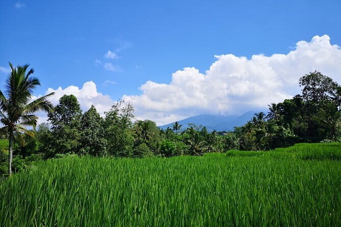 Jungle Trekking at Mt. Batukaru, scenic Waterfall & village life - Mt. Batukaru in one day: what makes this trek worth your time