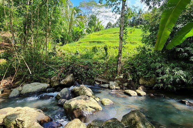 Jungle Trekking at Mt. Batukaru, scenic Waterfall & village life - Pura Luhur Batukaru: a sacred forest welcome before your hike