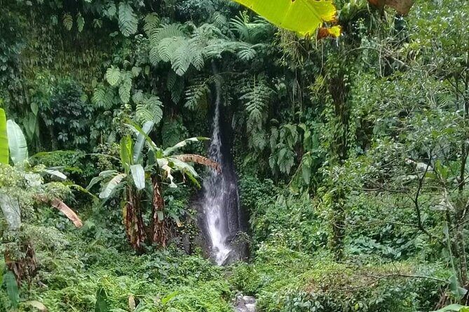 Keliki Village Tour And Rice Field Walk Including Lunch Or Dinner - From Bintang Supermarket to Keliki: Your Half-Day Rhythm
