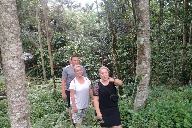 Keliki Village Tour And Rice Field Walk Including Lunch Or Dinner - Balinese Farmers and Traditional Irrigation: The Real Lesson