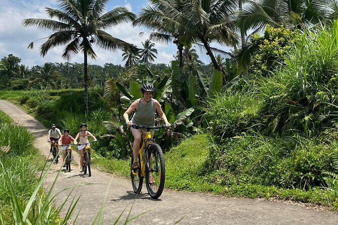 Kintamani Down Hill Cycling - Key Highlights You’ll Actually Care About