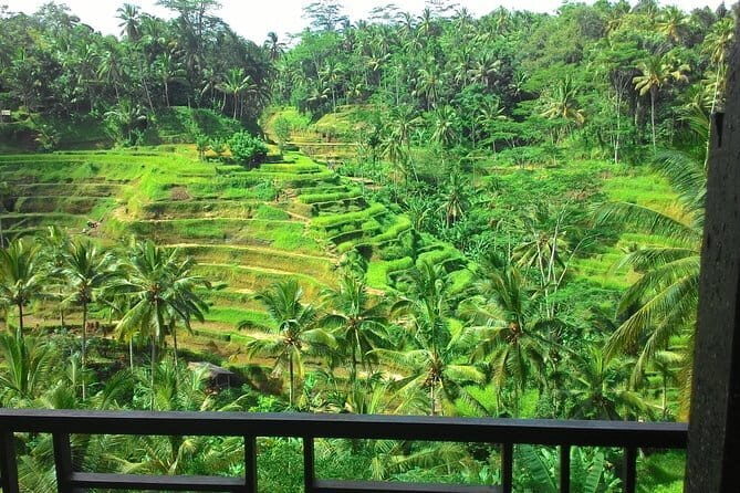 Kintamani Volcano View Tour - Ubud drop-off: choose your next move after the tour